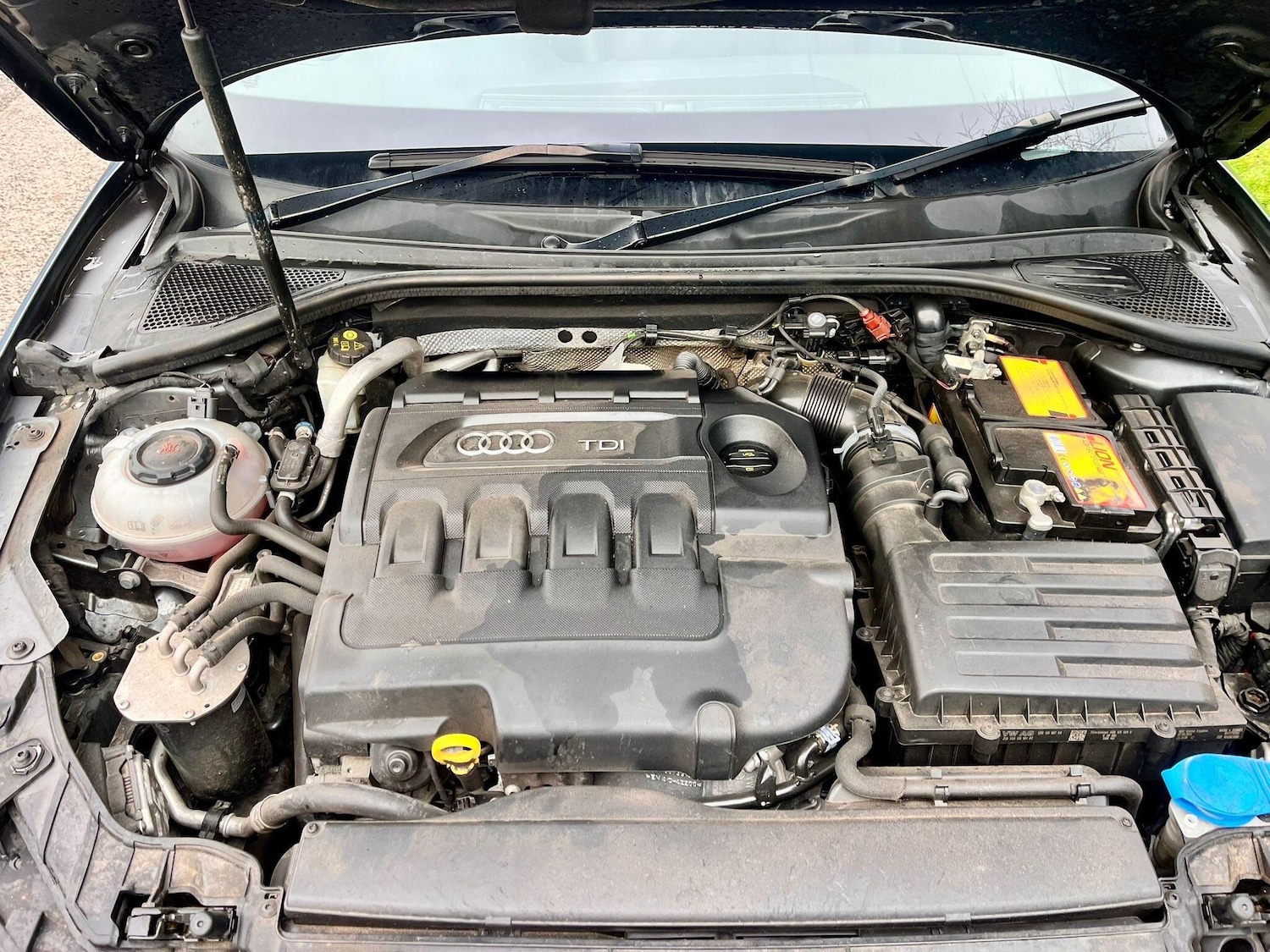 Used Audi A3 for sale - 77784130: Photo 28