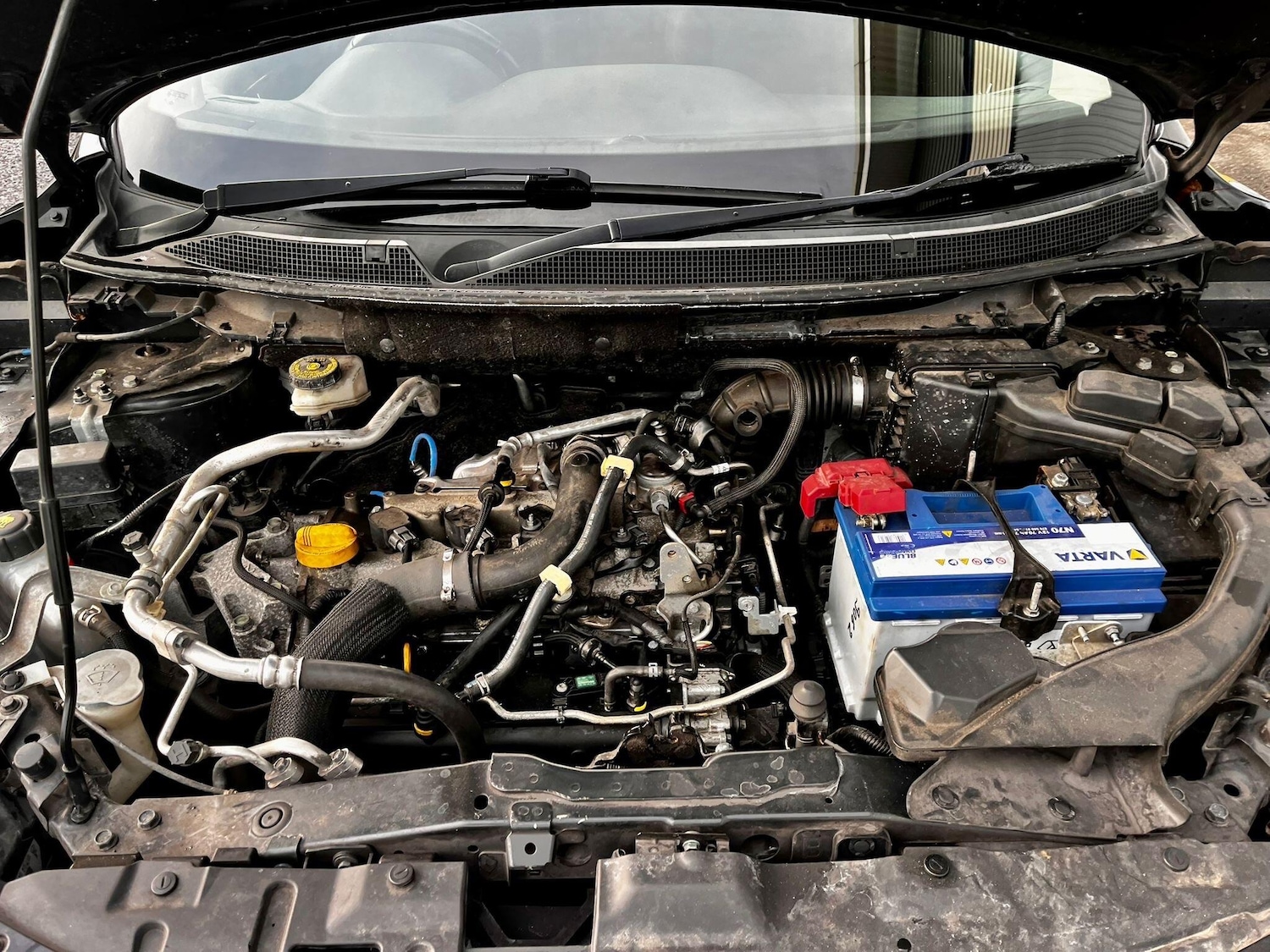 Used Nissan Qashqai 2016 for sale - 77131623: Photo 30