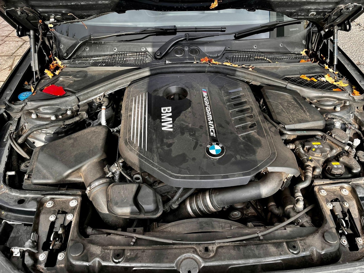 Used BMW 1 Series for sale - 76527772: Photo 33