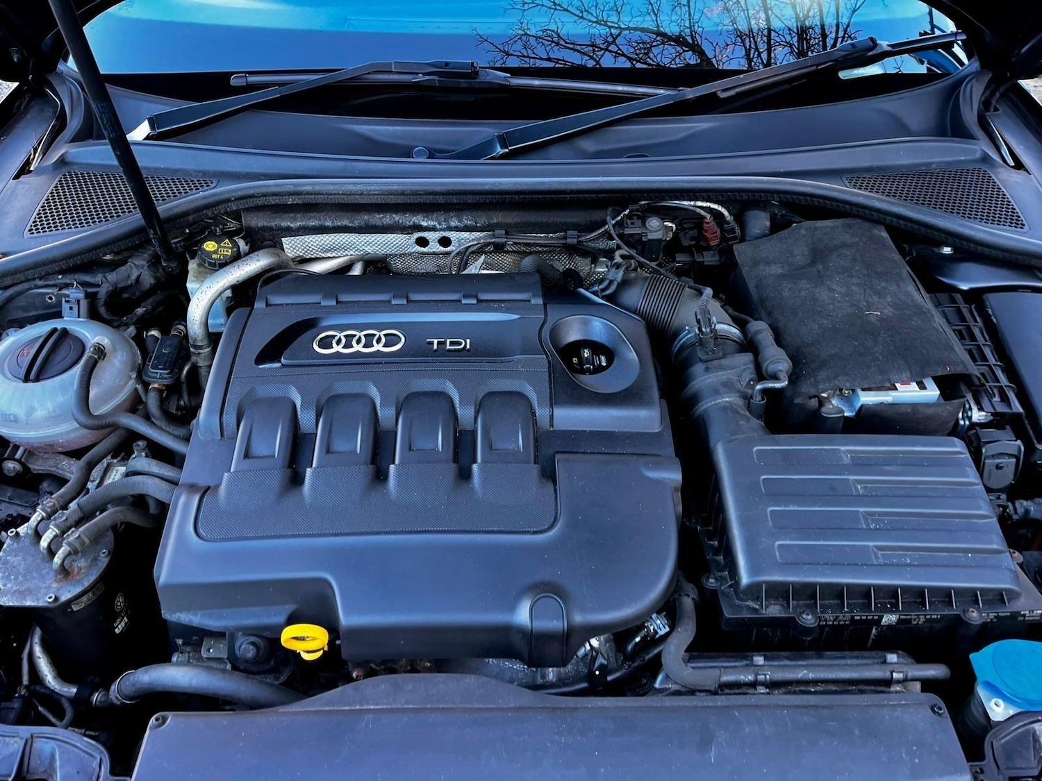 Used Audi A3 2016 for sale - 77130830: Photo 30