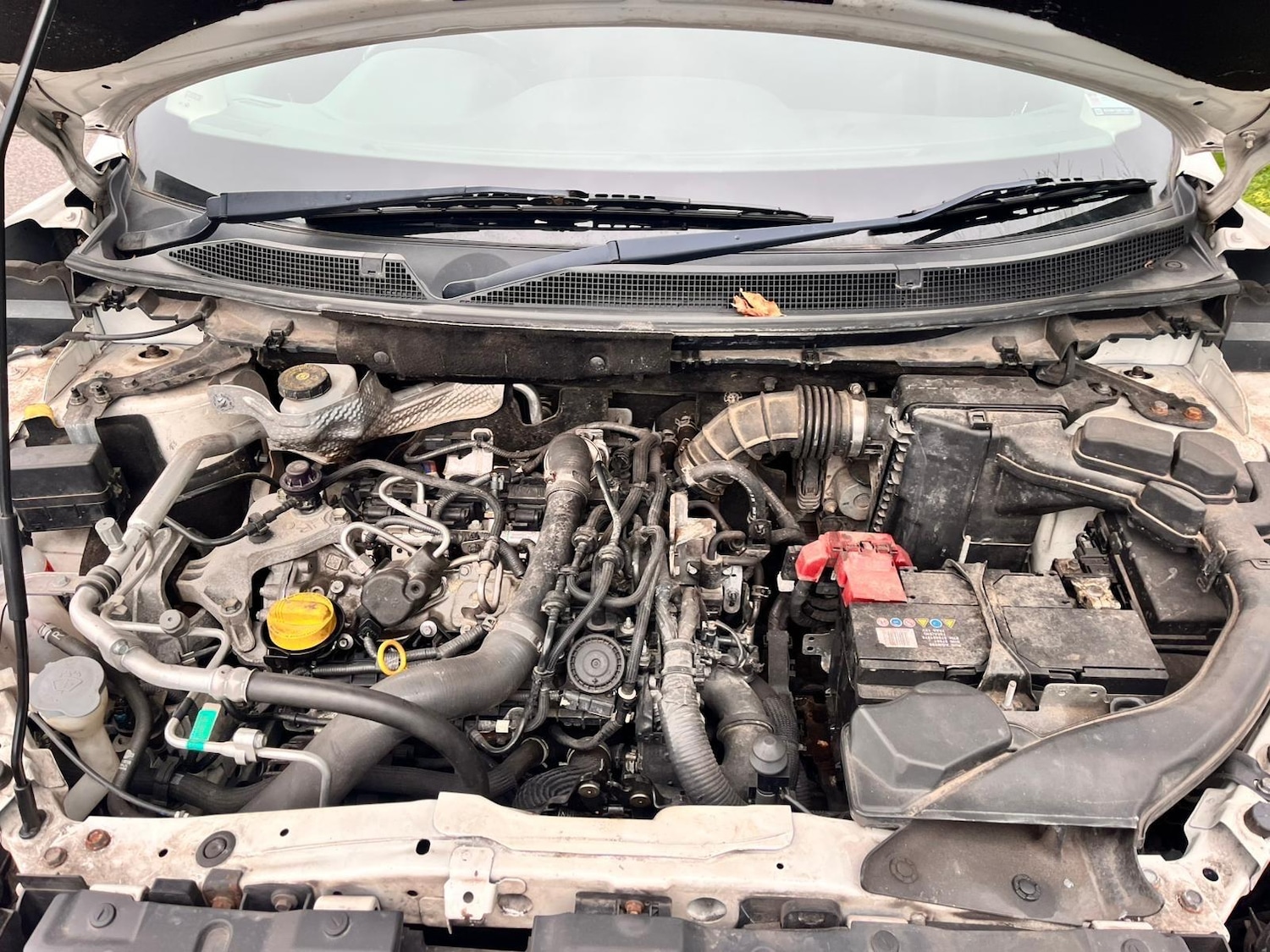 Used Nissan Qashqai for sale - 77794036: Photo 50