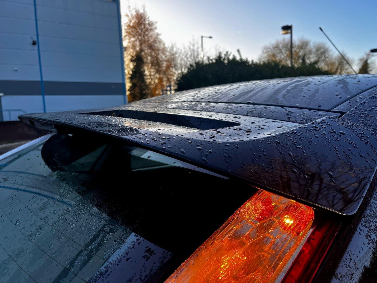 Used Ford Focus for sale - 77671345: Photo 44