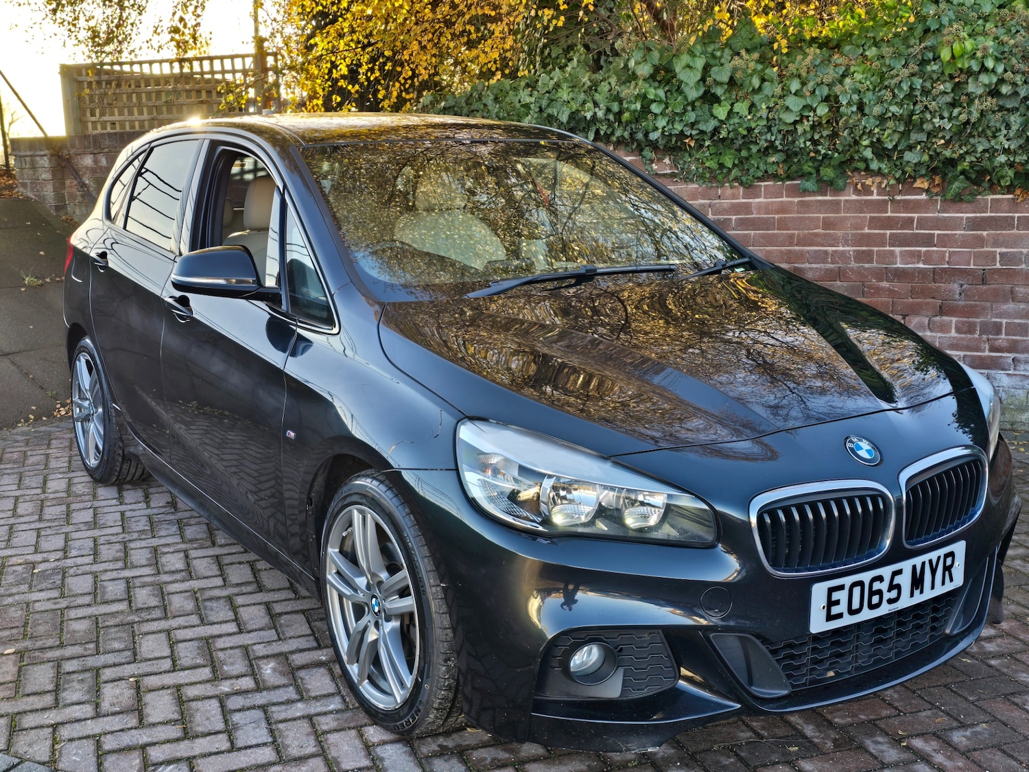 Used BMW 2 Series 2015 for sale - 76780409: Photo 22