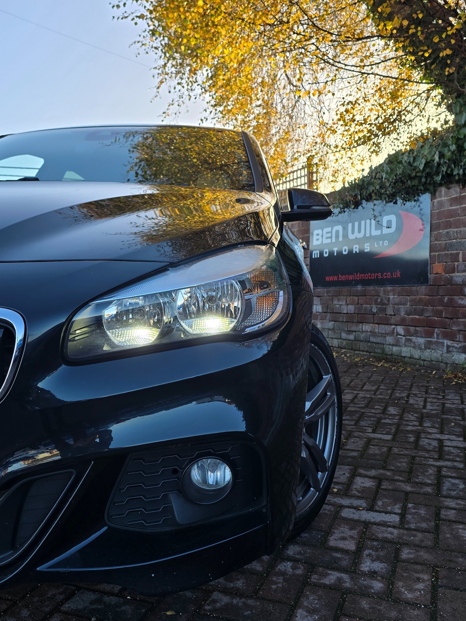 Used BMW 2 Series 2015 for sale - 76780409: Photo 8