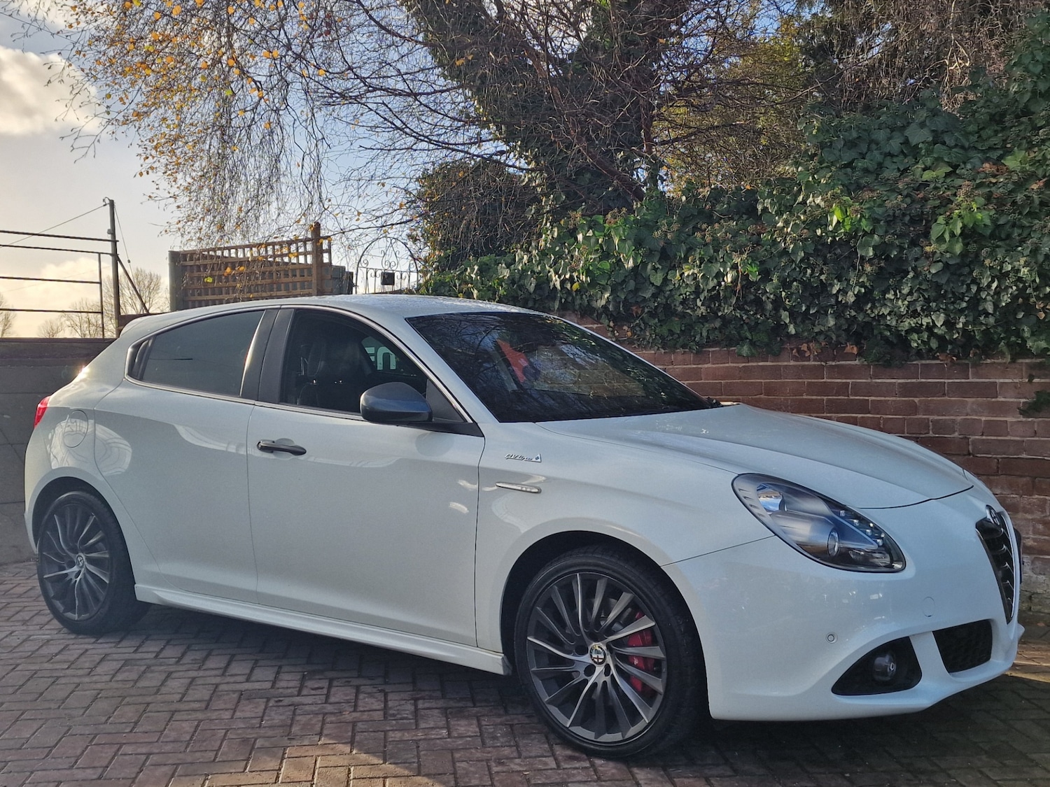 Used Alfa Romeo Giulietta 2015 for sale - 76894939: Photo 9