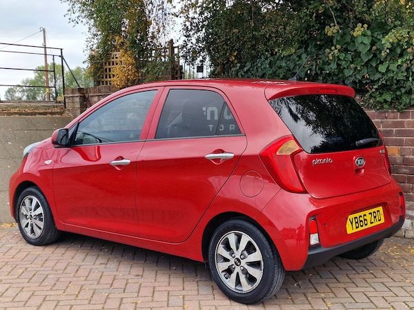 Used Kia Picanto 2017 for sale - 76220510: Photo 3