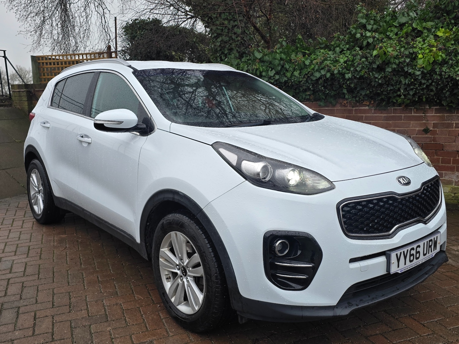 Used Kia Sportage 2016 for sale - 77620292: Photo 10