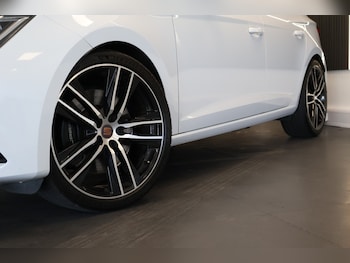 Used SEAT Leon 2019 for sale - 79483357: Photo