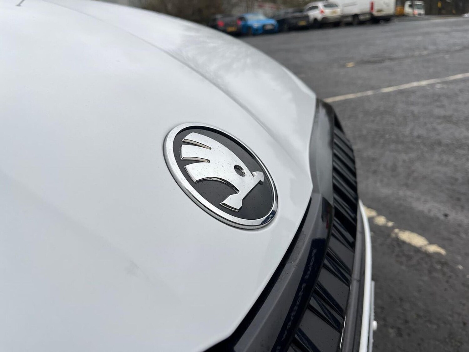 Used Skoda Octavia 2025 for sale - 77901579: Photo 30