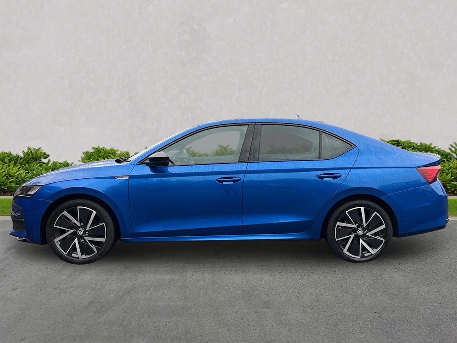 Used Skoda Octavia 2024 for sale - 76918958: Photo 19