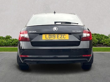 Used Skoda Octavia 2019 for sale - 77901584: Photo