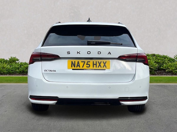 Used Skoda Octavia 2025 for sale - 76220457: Photo 6