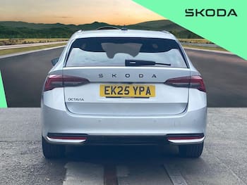 Used Skoda Octavia 2025 for sale - 79674272: Photo