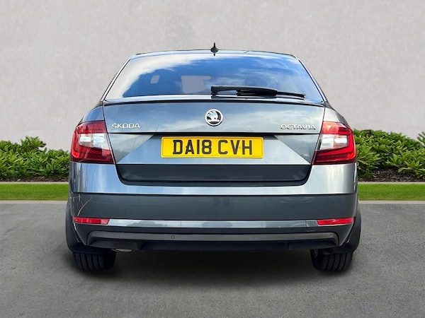 Used Skoda Octavia 2018 for sale - 76187098: Photo 4