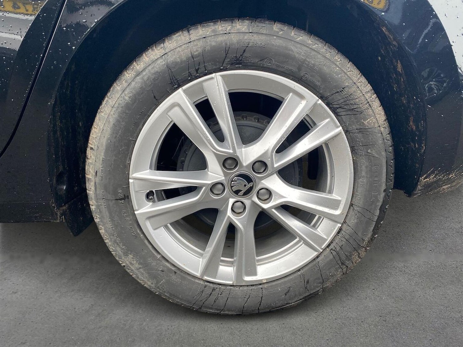 Used Skoda Fabia 2024 for sale - 76986965: Photo 9