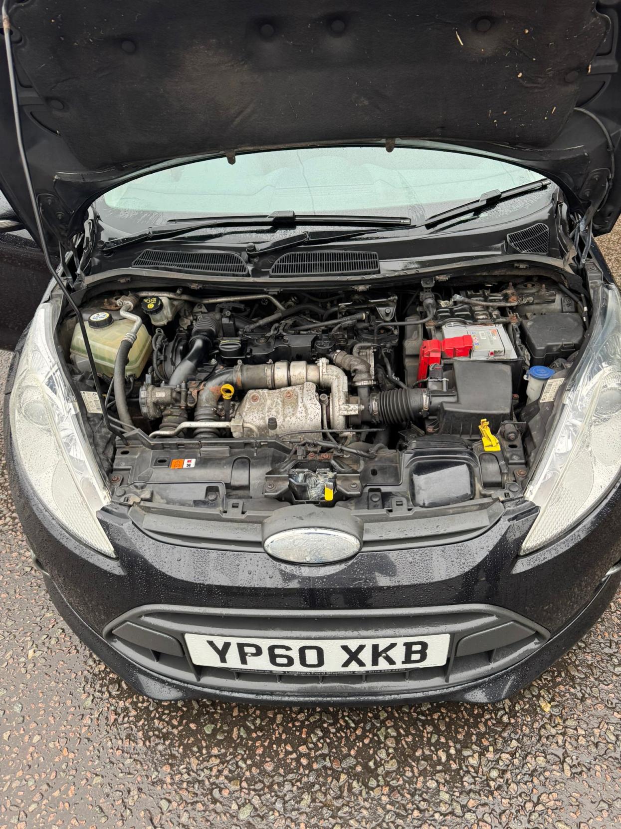 Used Ford Fiesta 2010 for sale - 77644127: Photo 30