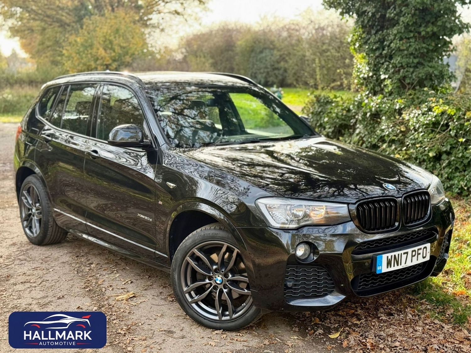 Used BMW X3 2017 for sale - 76751977: Photo 1