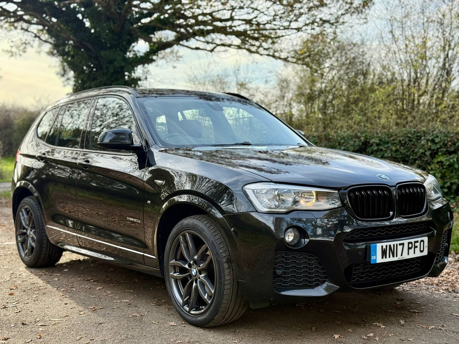 Used BMW X3 2017 for sale - 76751977: Photo 15