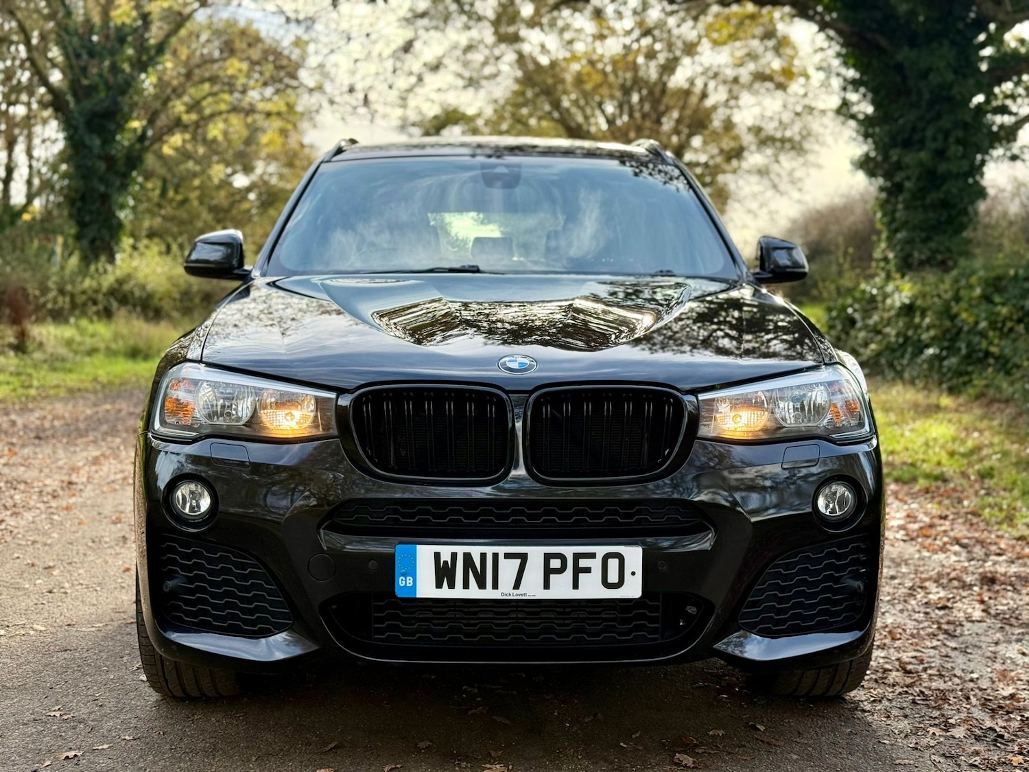 Used BMW X3 2017 for sale - 76751977: Photo 16