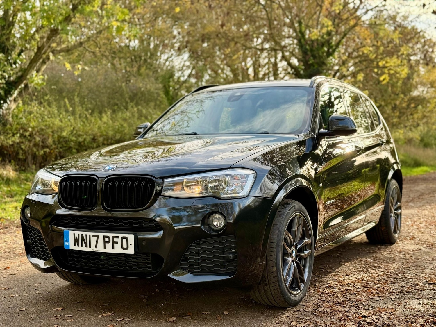 Used BMW X3 2017 for sale - 76751977: Photo 17