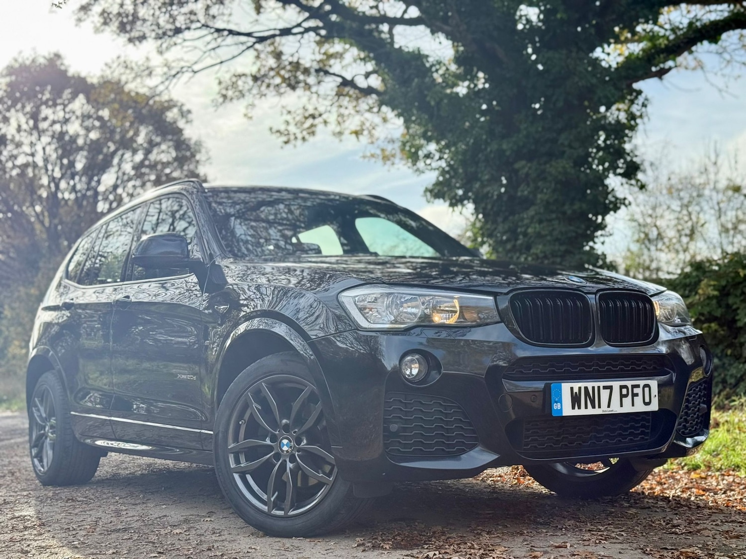 Used BMW X3 2017 for sale - 76751977: Photo 23