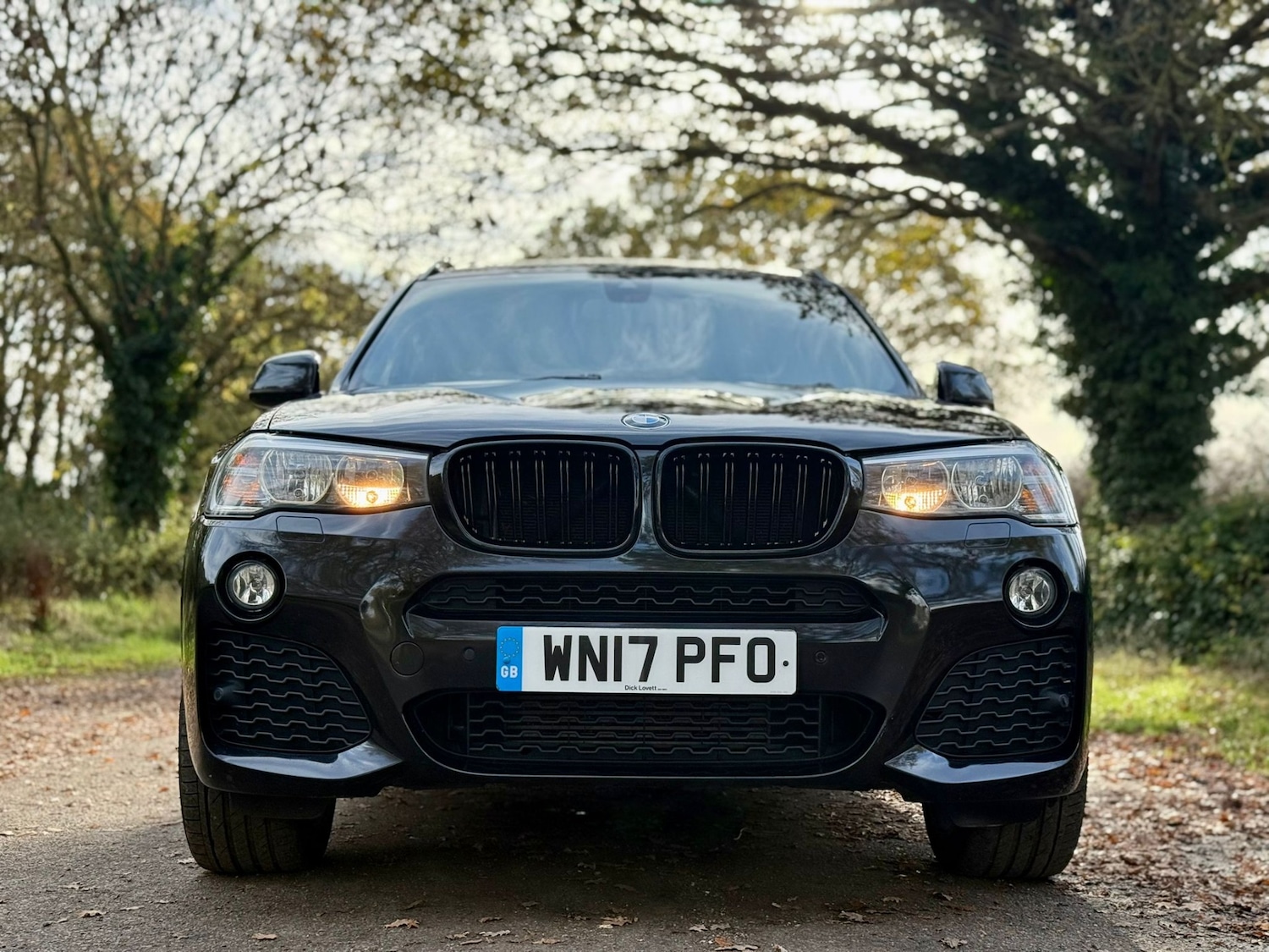 Used BMW X3 2017 for sale - 76751977: Photo 27