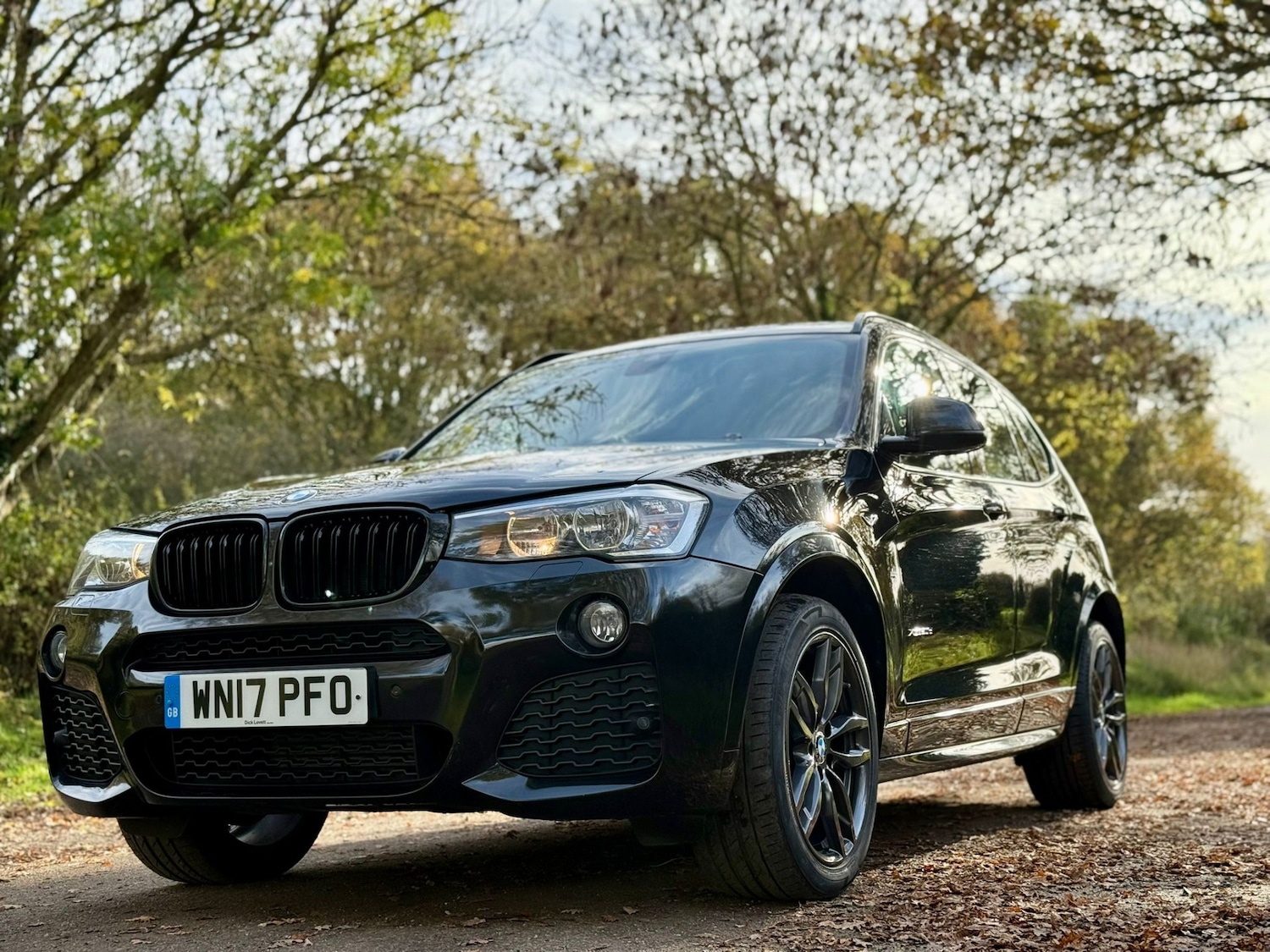 Used BMW X3 2017 for sale - 76751977: Photo 28