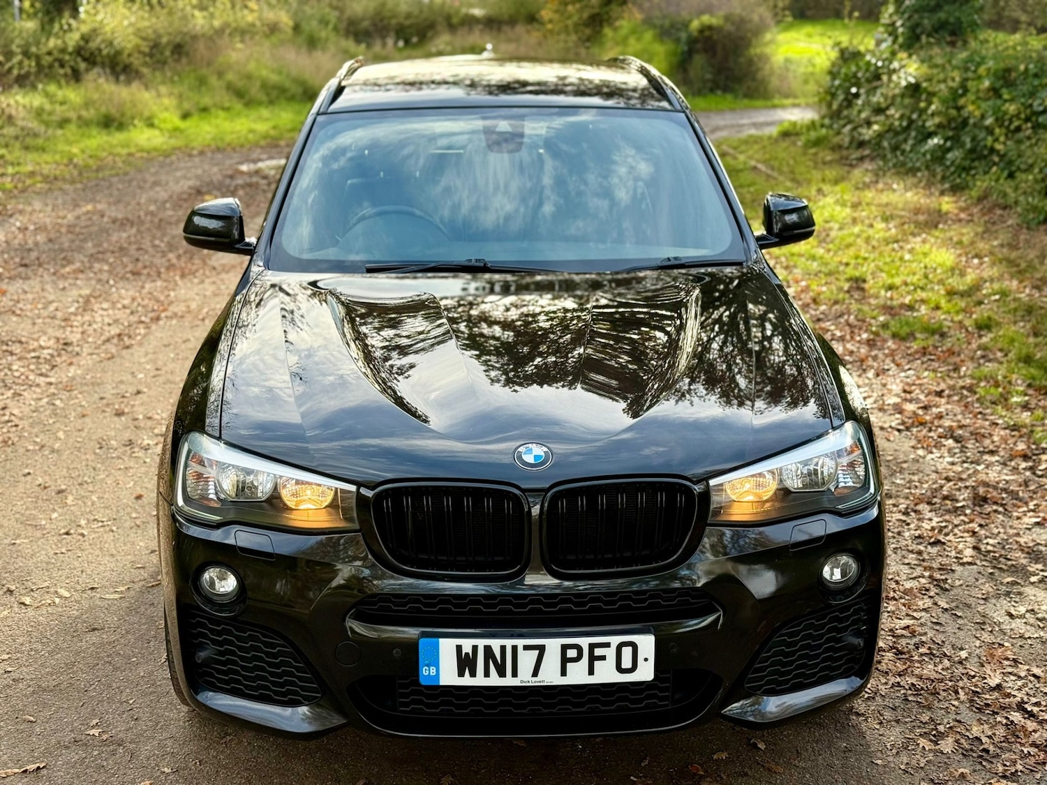 Used BMW X3 2017 for sale - 76751977: Photo 33