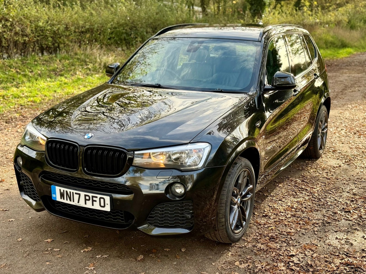 Used BMW X3 2017 for sale - 76751977: Photo 34