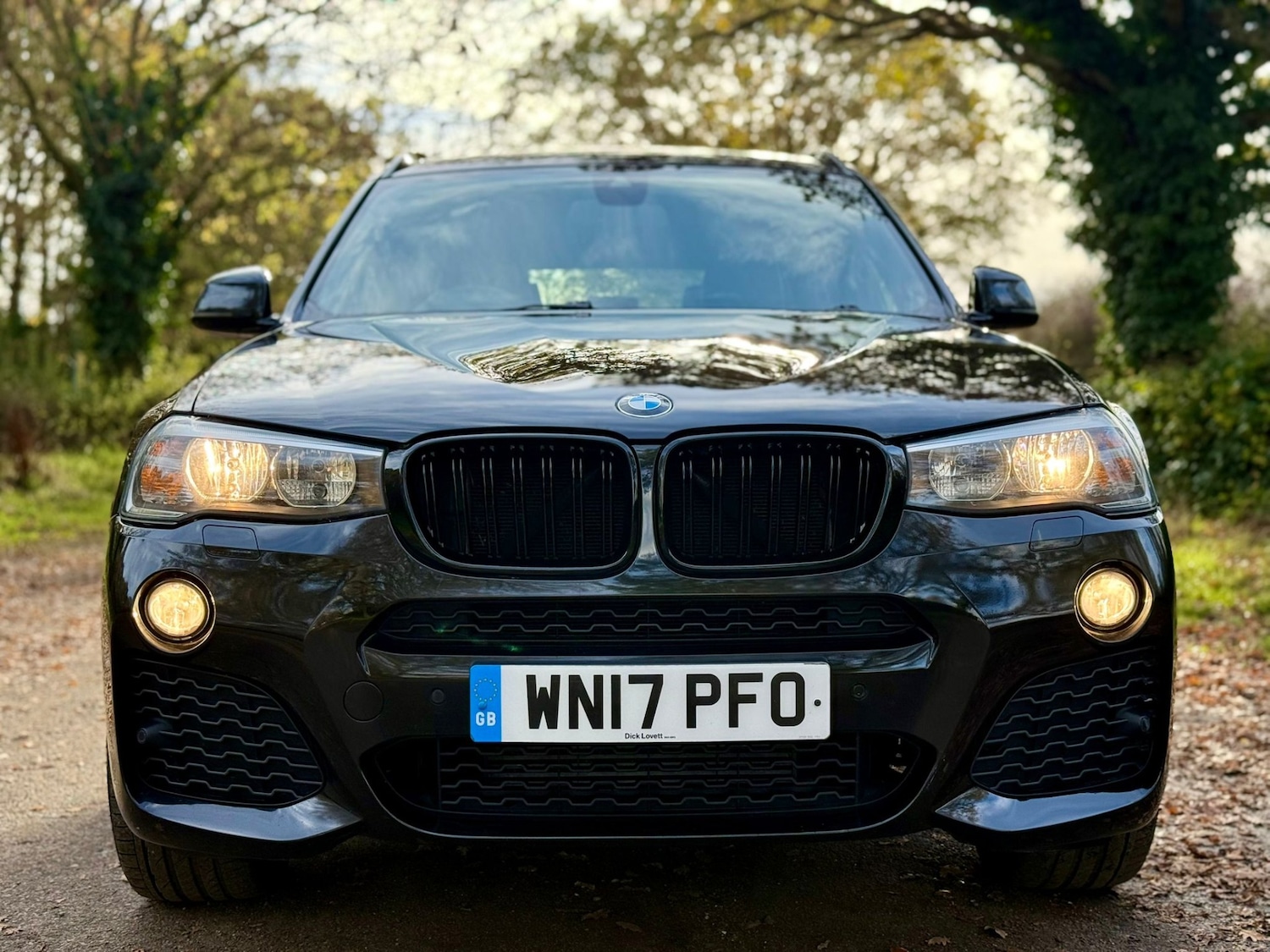 Used BMW X3 2017 for sale - 76751977: Photo 42