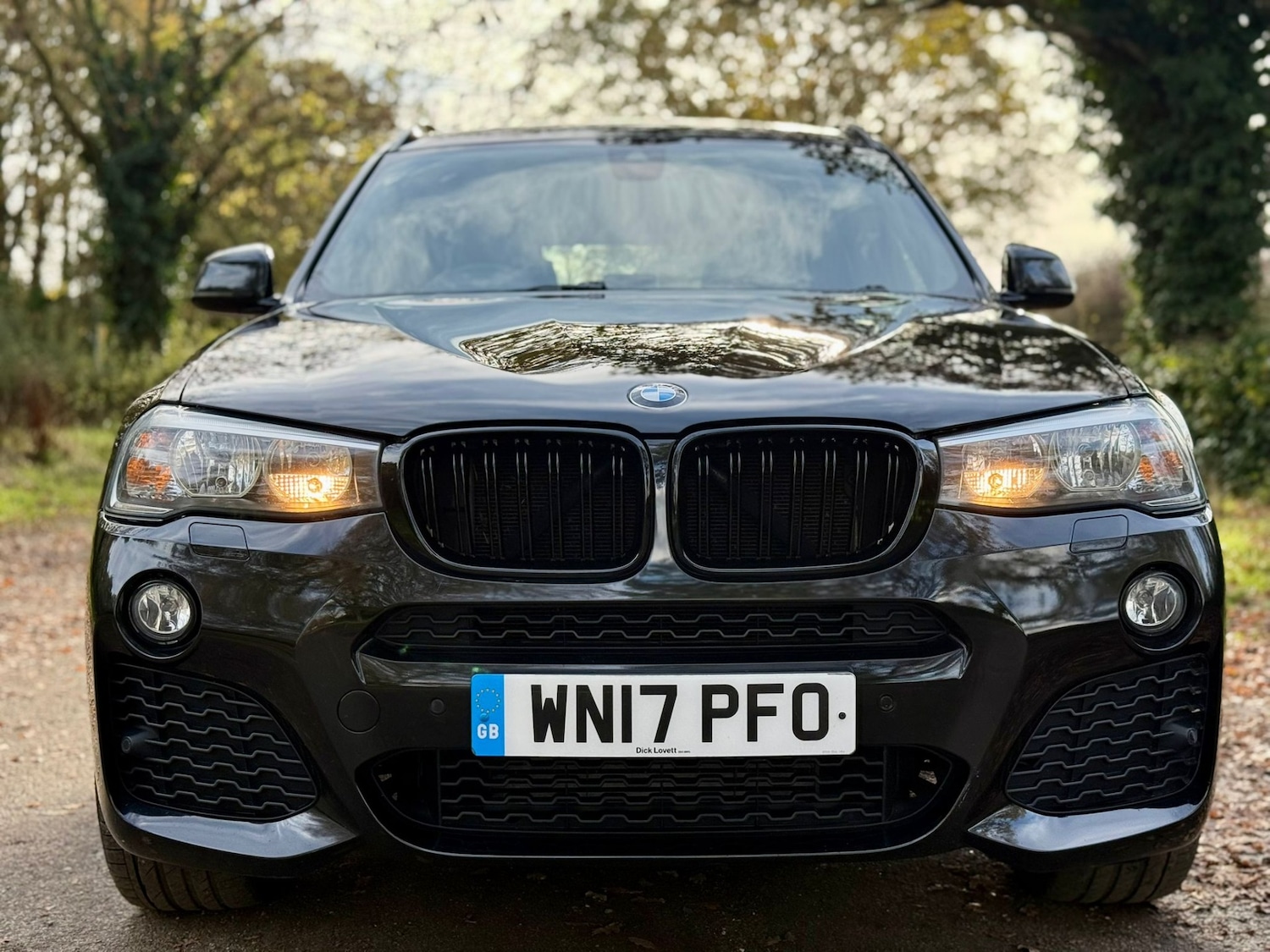 Used BMW X3 2017 for sale - 76751977: Photo 44