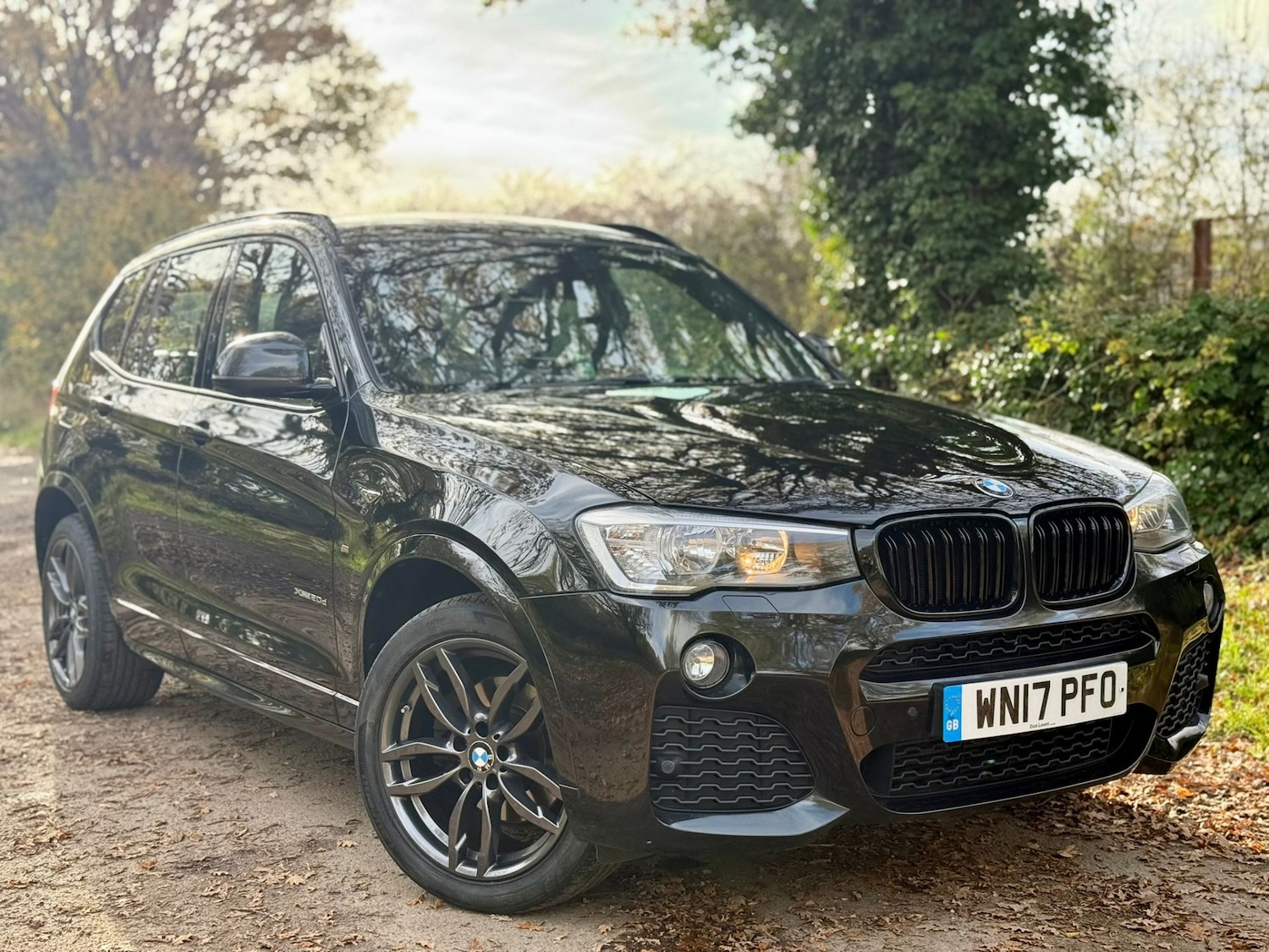 Used BMW X3 2017 for sale - 76751977: Photo 54