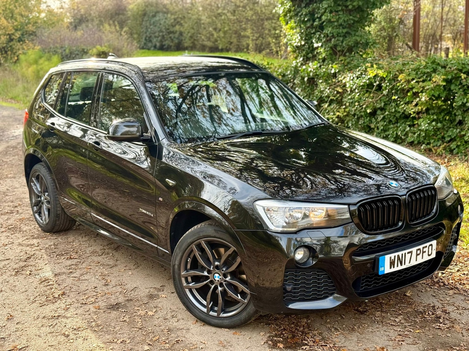 Used BMW X3 2017 for sale - 76751977: Photo 74