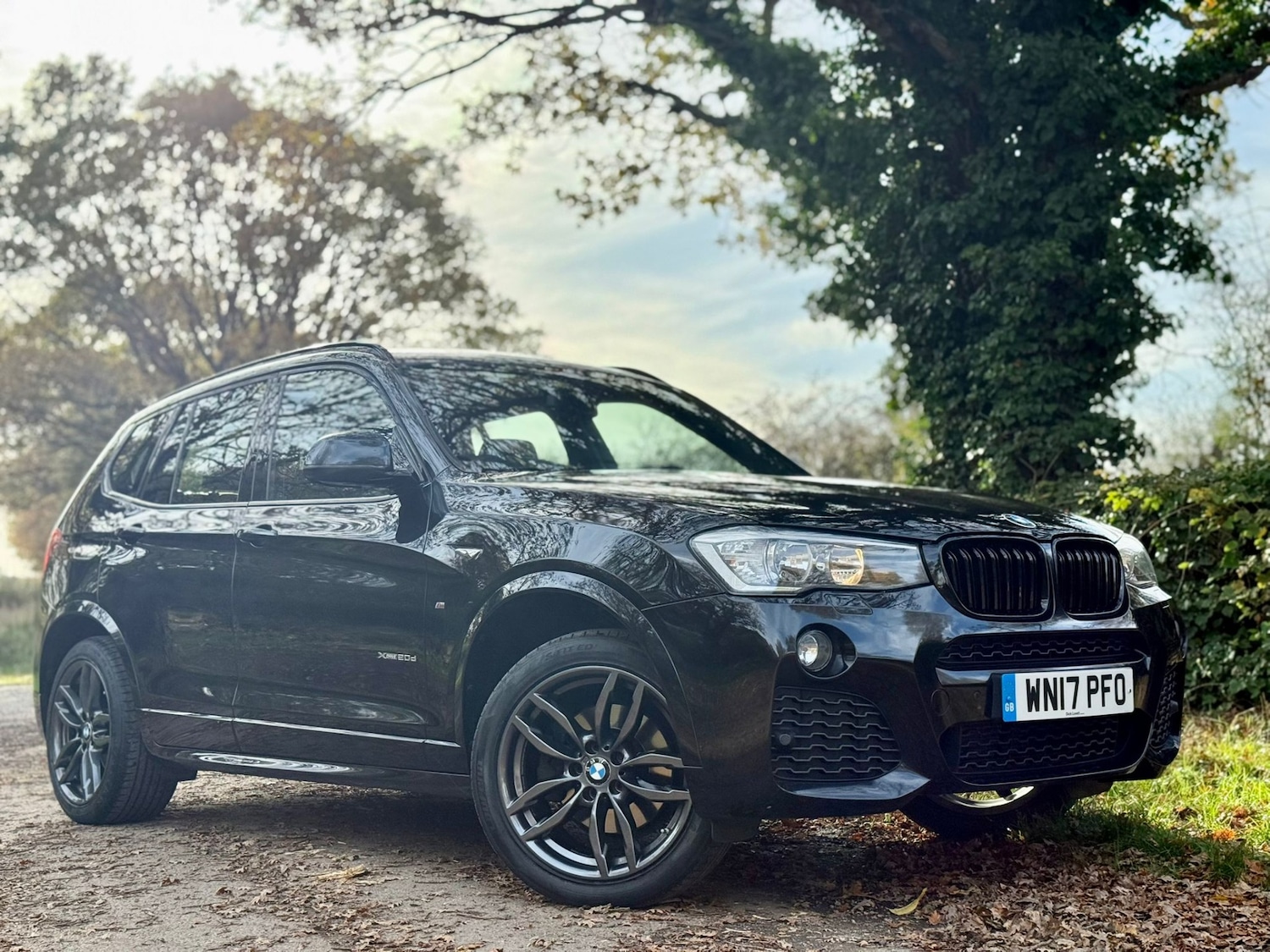 Used BMW X3 2017 for sale - 76751977: Photo 86