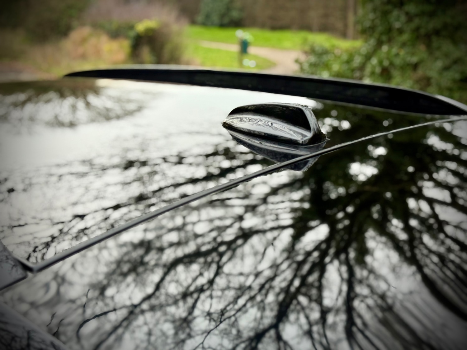 Used Volvo XC40 2019 for sale - 76974719: Photo 37