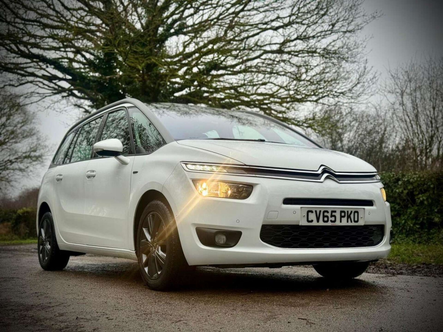 Used Citroen C4 Grand Picasso 2015 for sale - 77270966: Photo 17