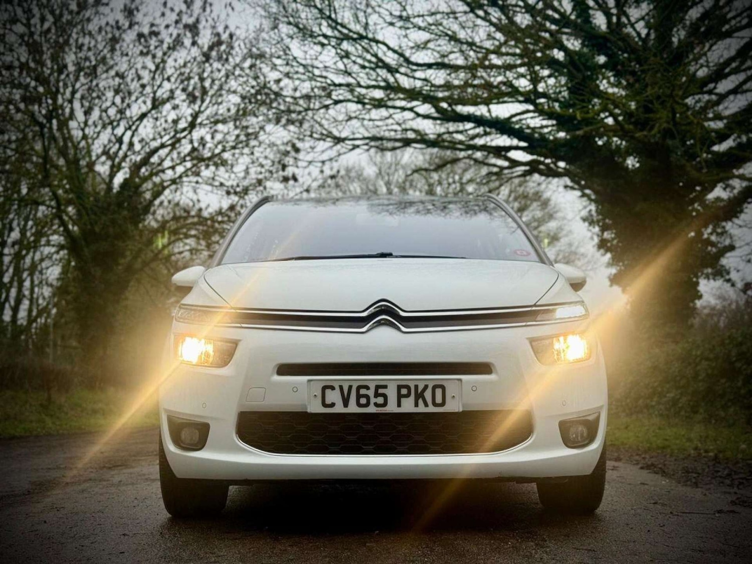 Used Citroen C4 Grand Picasso 2015 for sale - 77270966: Photo 18