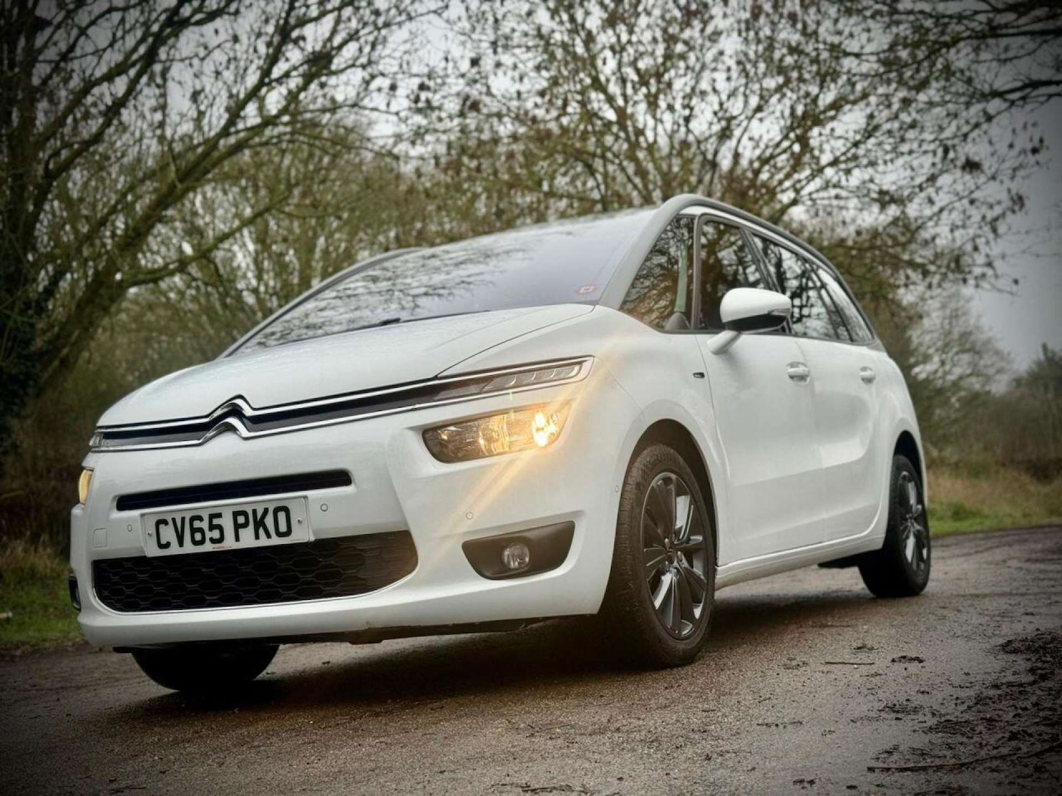 Used Citroen C4 Grand Picasso 2015 for sale - 77270966: Photo 19