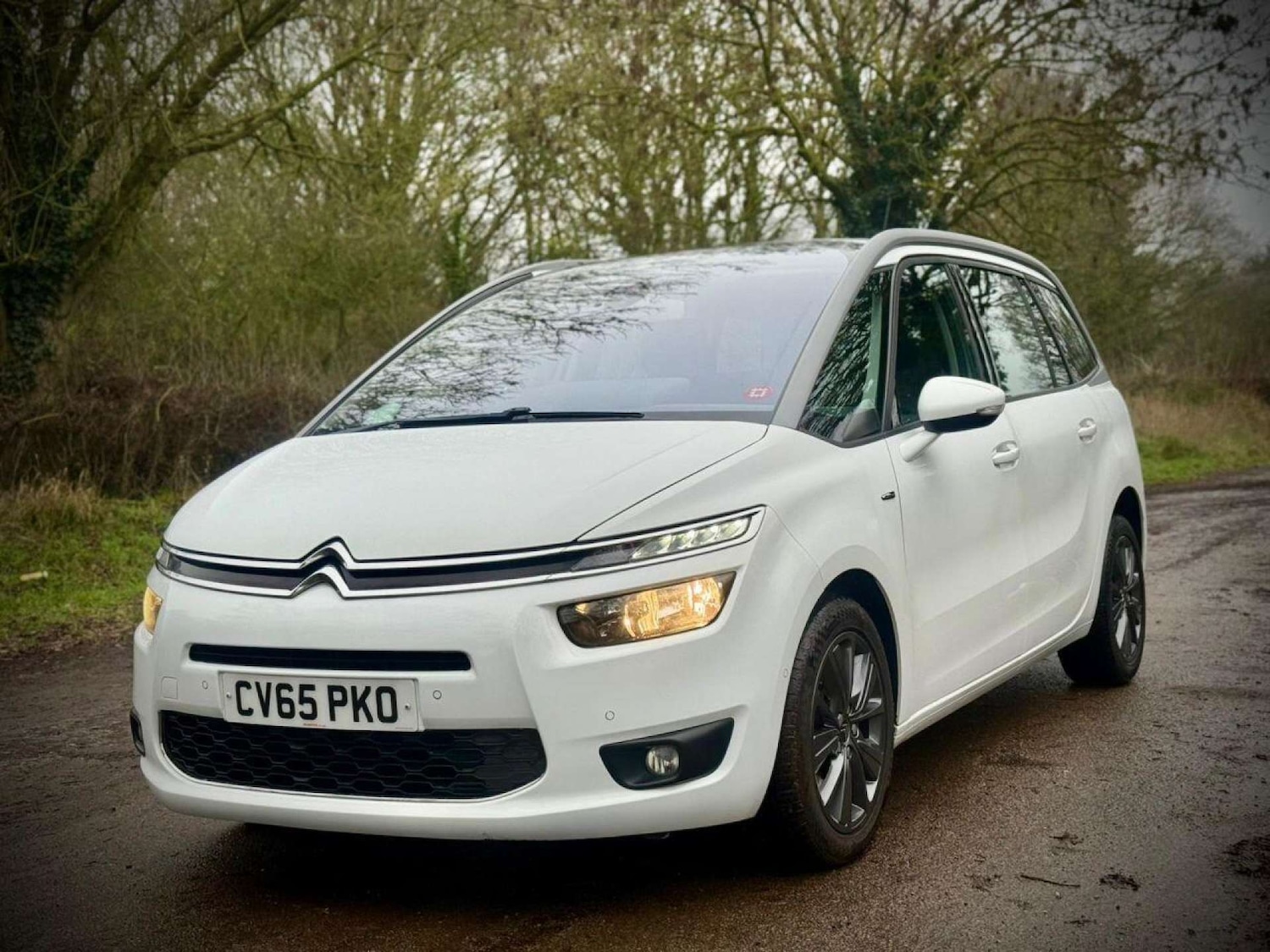 Used Citroen C4 Grand Picasso 2015 for sale - 77270966: Photo 29