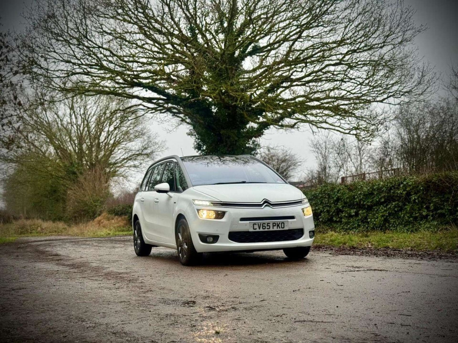 Used Citroen C4 Grand Picasso 2015 for sale - 77270966: Photo 9