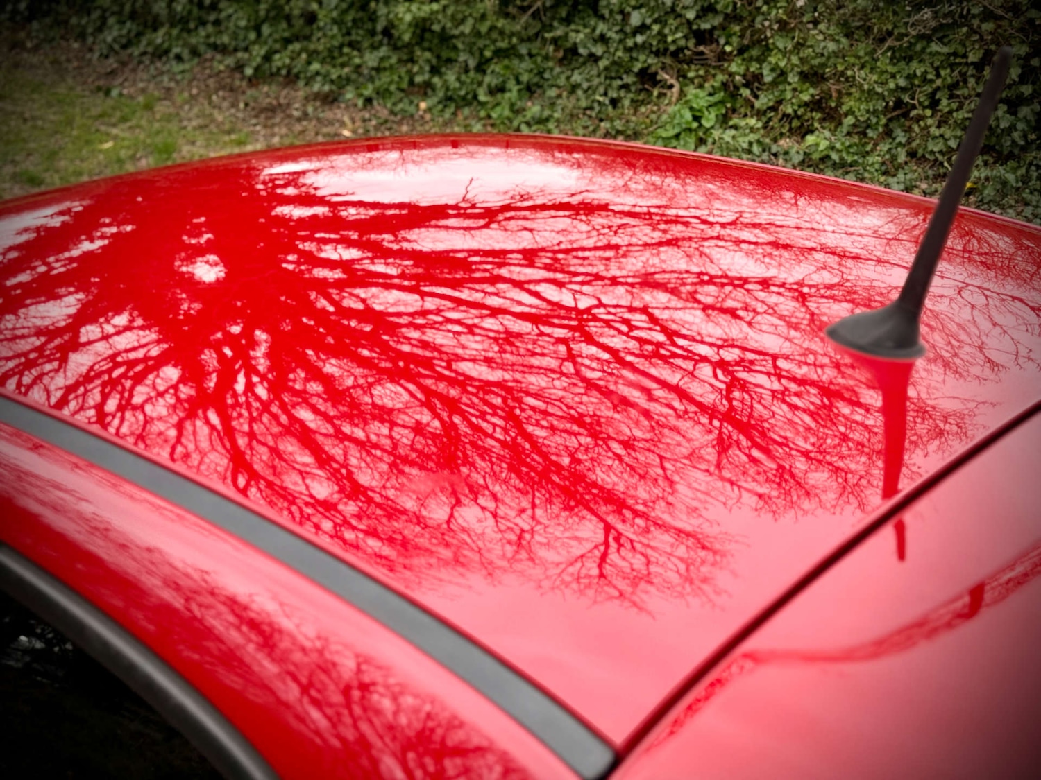 Used Fiat 500 2013 for sale - 77682110: Photo 24