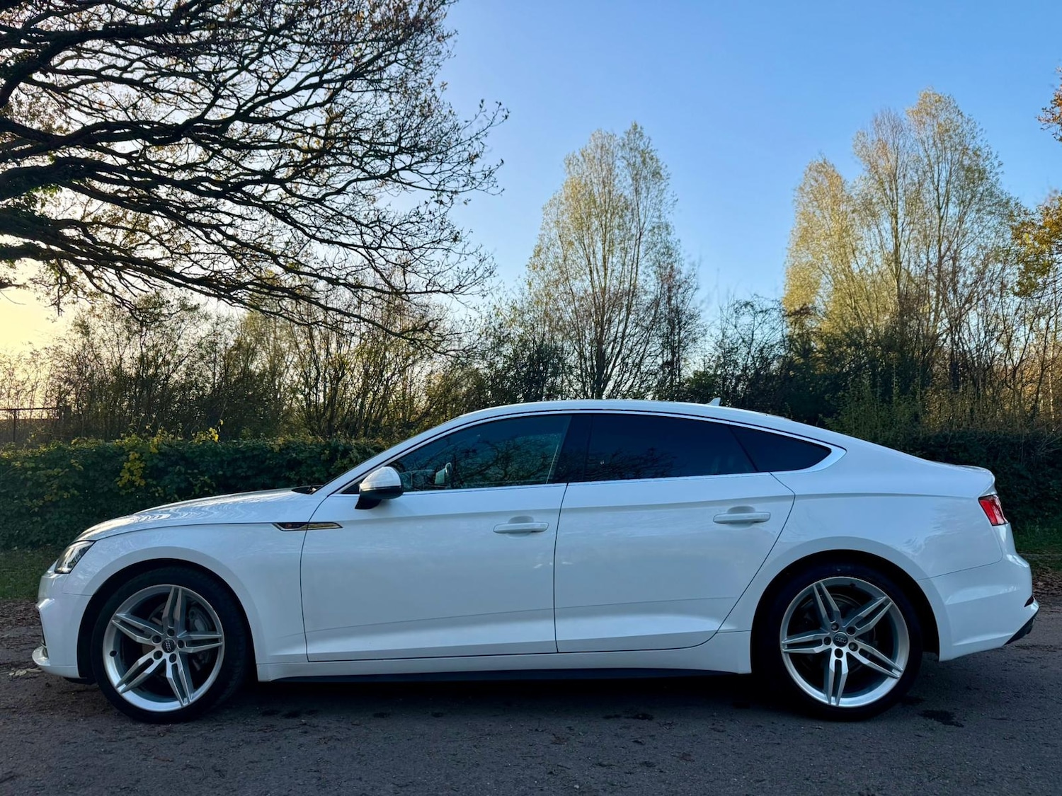 Used Audi A5 2017 for sale - 76749880: Photo 11