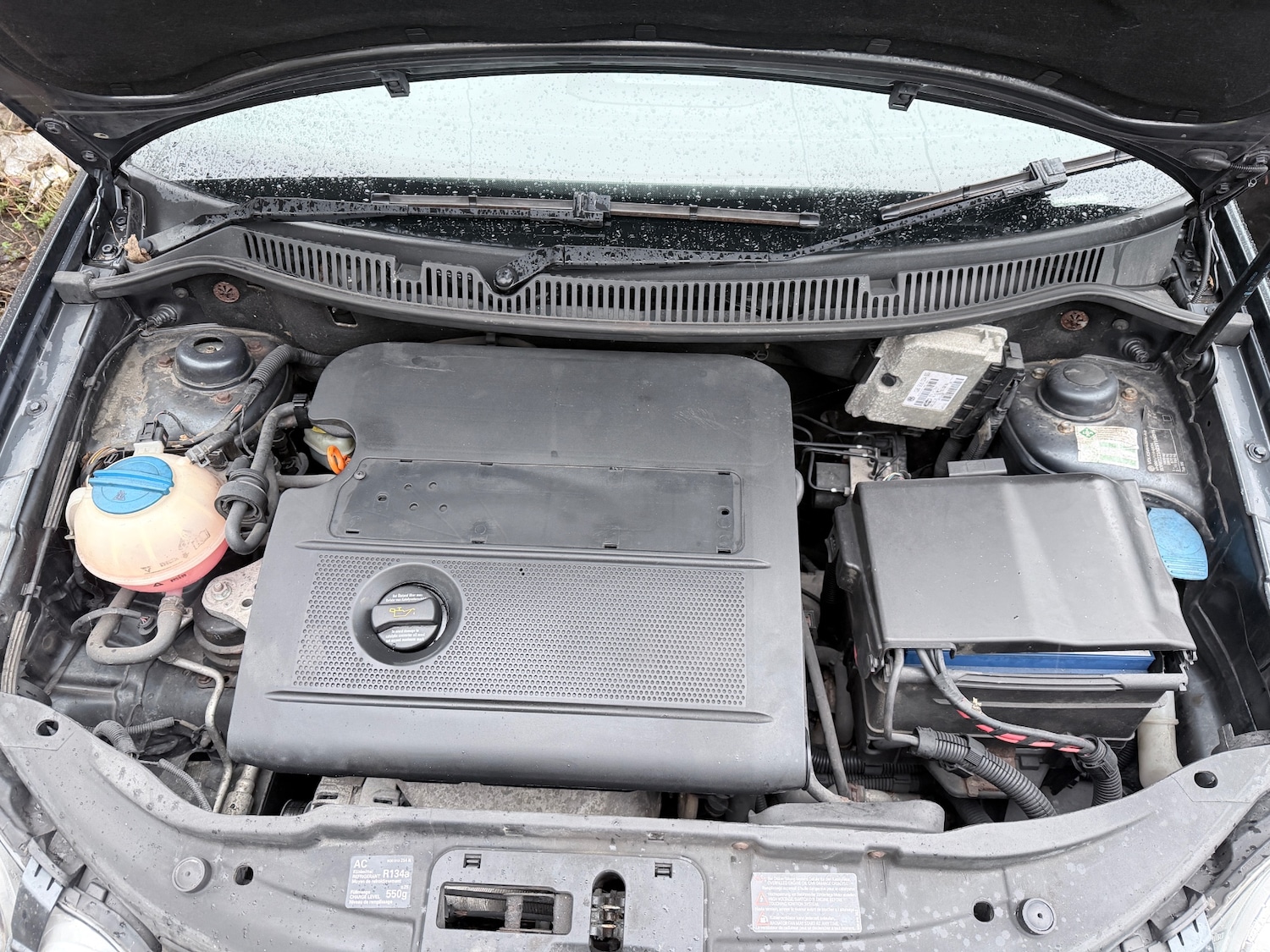 Used Volkswagen Polo 2004 for sale - 77245254: Photo 24