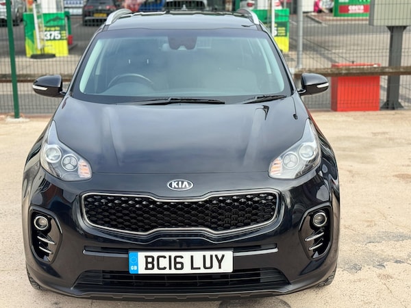 Used Kia Sportage 2016 for sale - 76189093: Photo 11