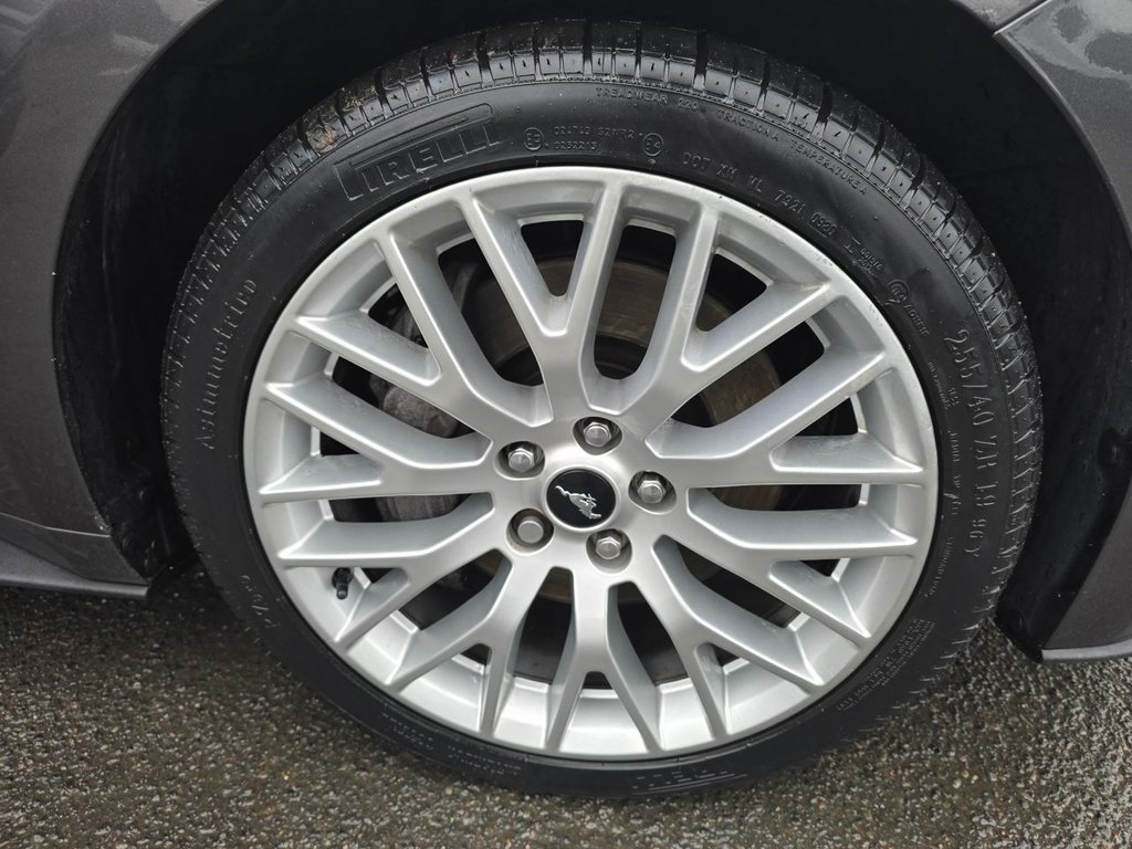 Used Ford Mustang 2016 for sale - 76634934: Photo 46