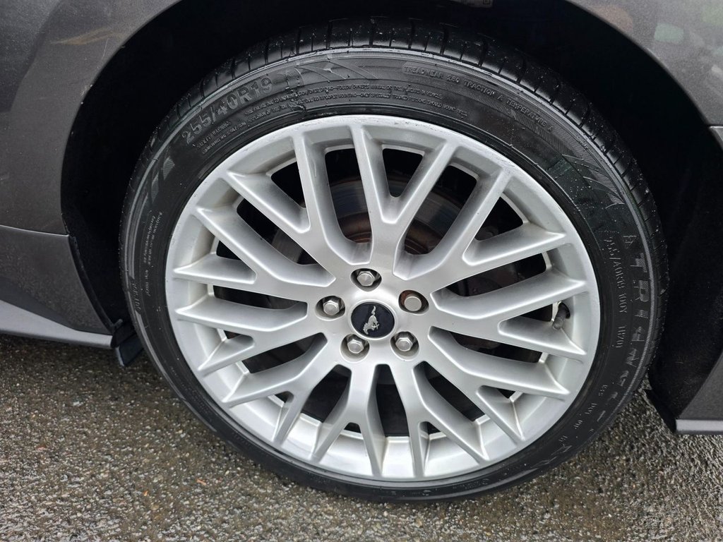 Used Ford Mustang 2016 for sale - 76634934: Photo 50