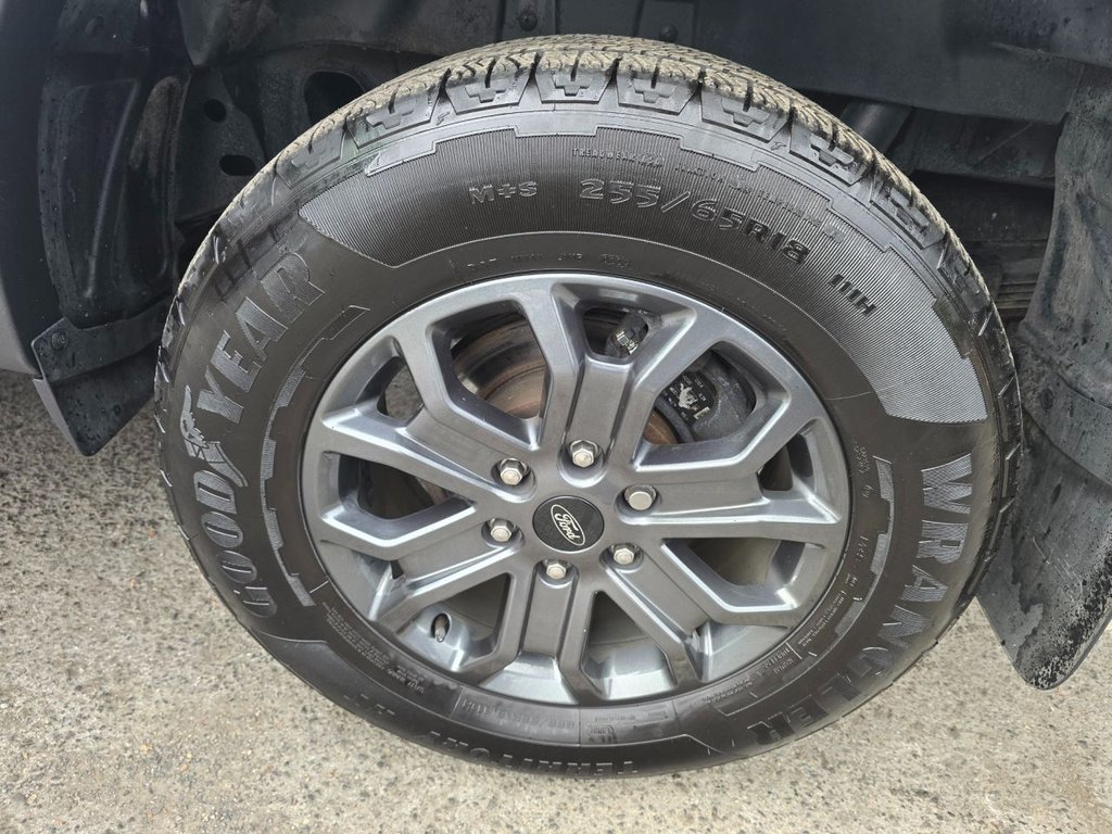 Used Ford Ranger 2023 for sale - 76634948: Photo 46