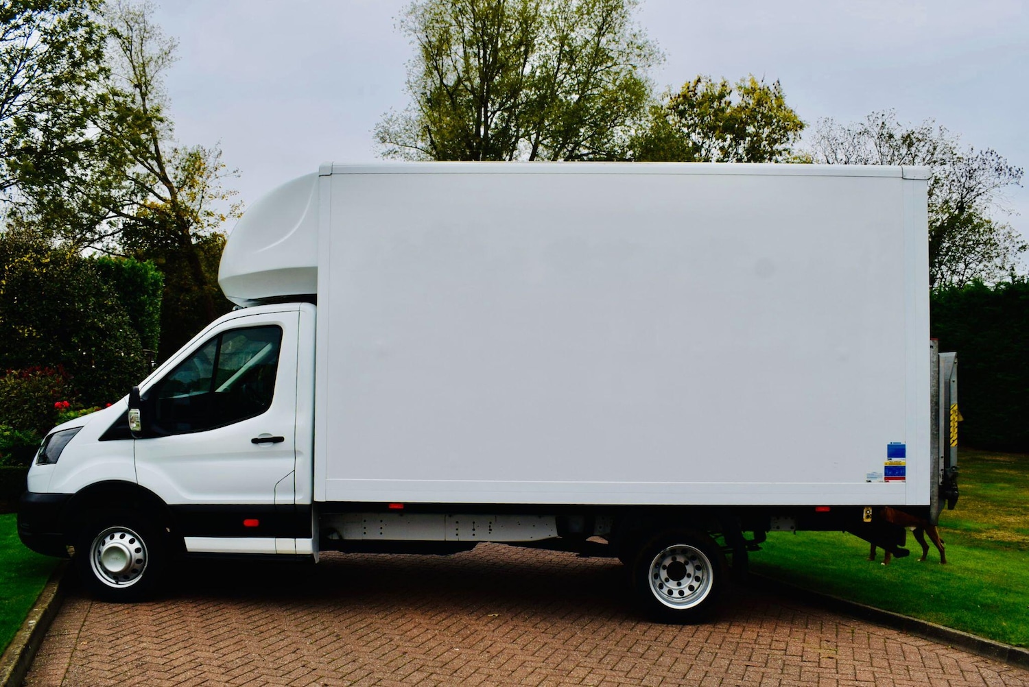 Used Ford Transit 2023 for sale - 76996814: Photo 2