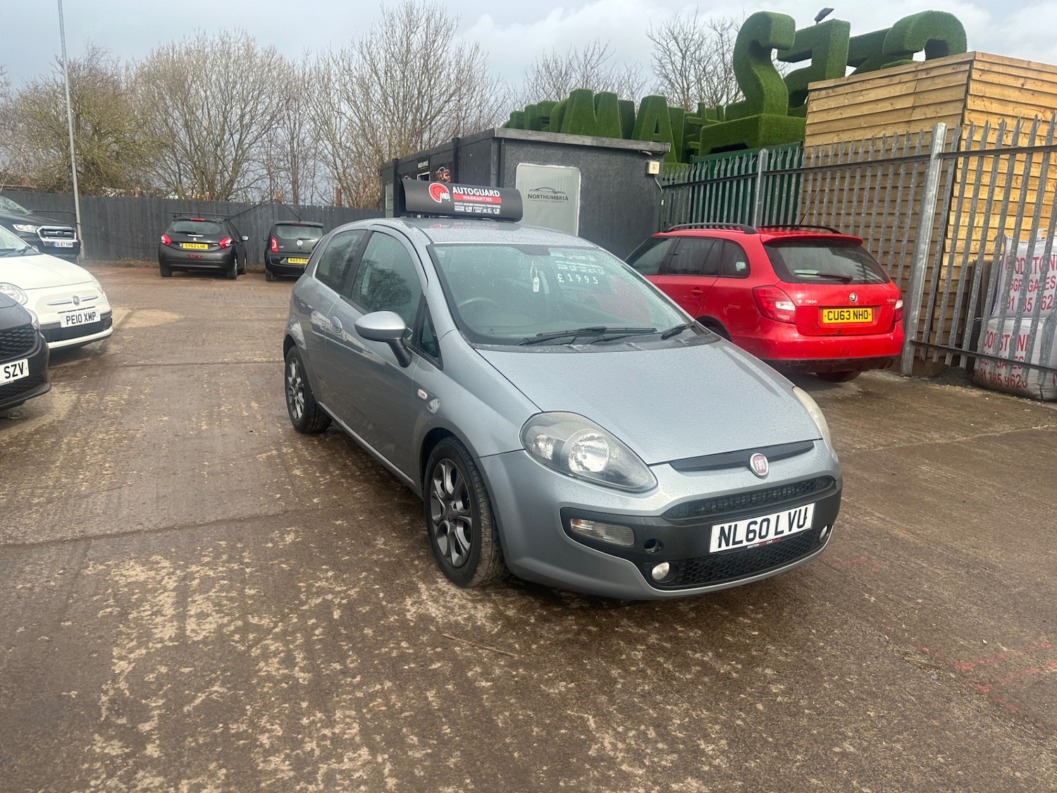 Used Fiat Punto Evo 2010 for sale - 77845418: Photo 2