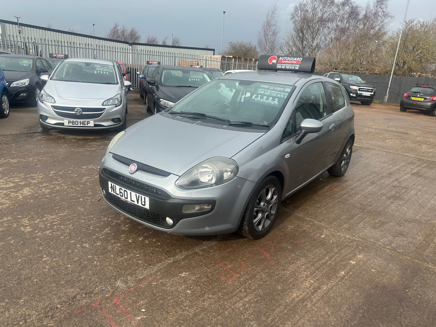 Used Fiat Punto Evo 2010 for sale - 77845418: Photo 4